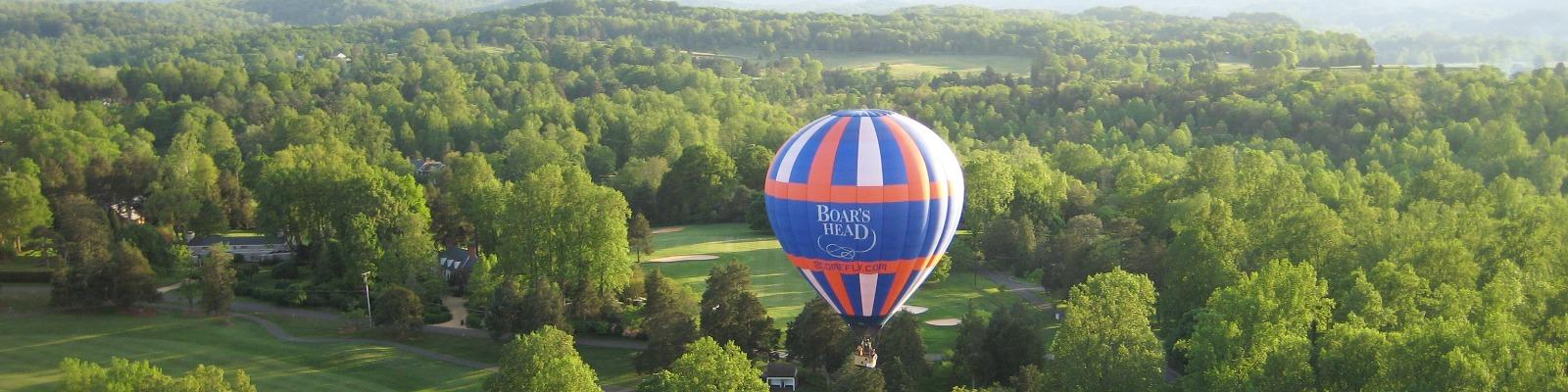 Boar's Head Hot Air Balloon Cover